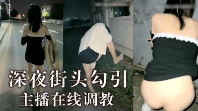 ,夜夜夜AV视频一二三区,韩国三级片无码的,主播深夜调教的!